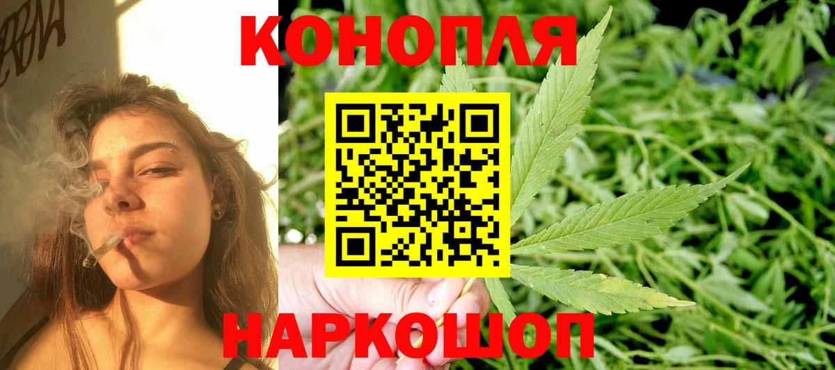Острогожск  Шишки марихуана планчик  Вход с VPN  Шишки марихуана марихуана  Марихуана конопля 